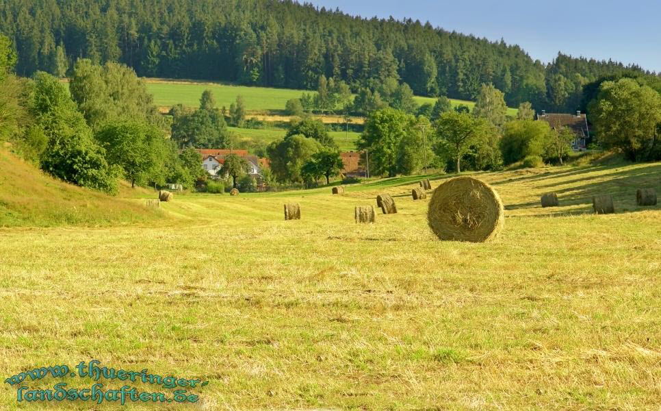 Heuballen bei Geisenhhn