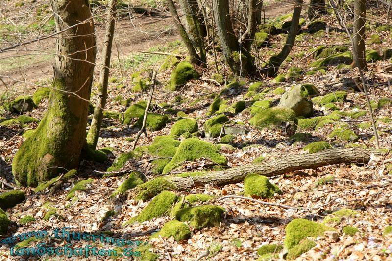 Wanderung auf den Kleinen Gleichberg & Das Steinsburgmuseum