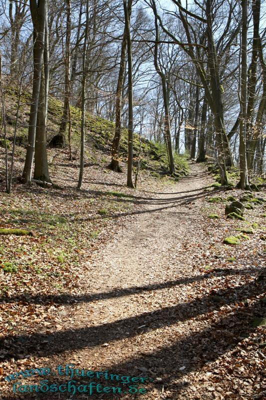 Wanderung auf den Kleinen Gleichberg & Das Steinsburgmuseum