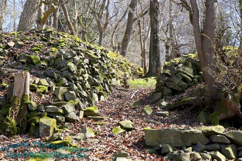 Wanderung auf den Kleinen Gleichberg & Das Steinsburgmuseum