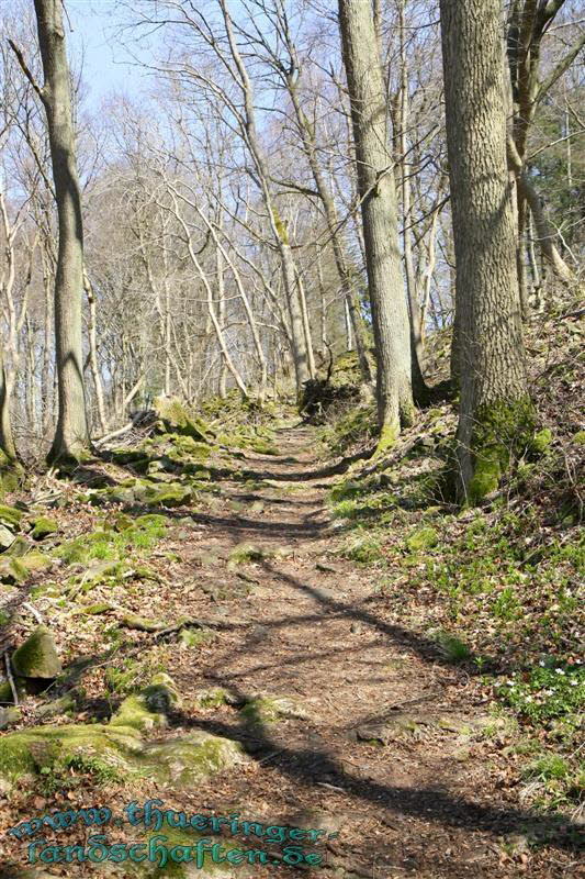 Wanderung auf den Kleinen Gleichberg & Das Steinsburgmuseum