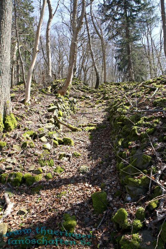 Wanderung auf den Kleinen Gleichberg & Das Steinsburgmuseum