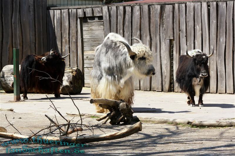 Zoopark Erfurt