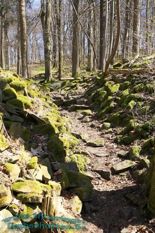 Wanderung auf den Kleinen Gleichberg & Das Steinsburgmuseum