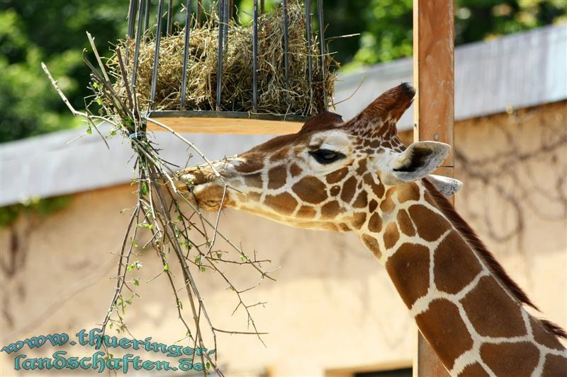 Zoopark Erfurt