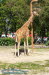 Zoopark Erfurt