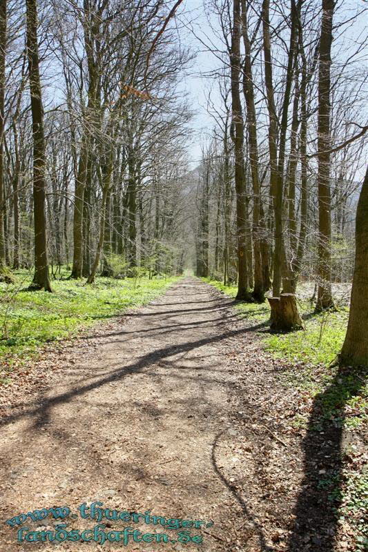 Wanderung auf den Kleinen Gleichberg & Das Steinsburgmuseum