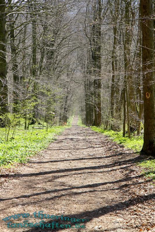 Wanderung auf den Kleinen Gleichberg & Das Steinsburgmuseum