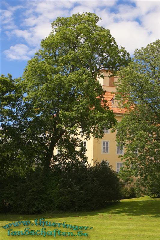 Schloss Sondershausen