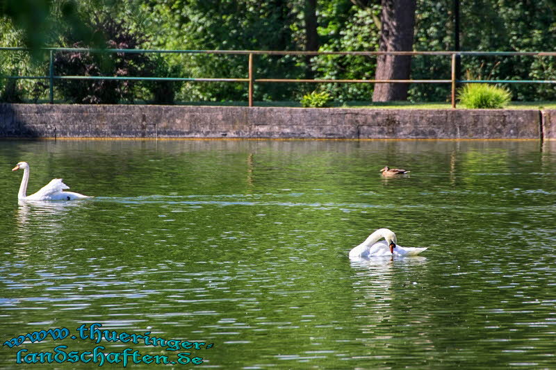 Elisabethpark und See Bad Liebenstein