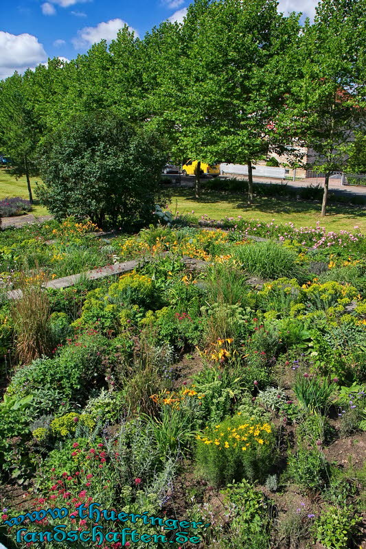 Am Elisabethpark und See Bad Liebenstein