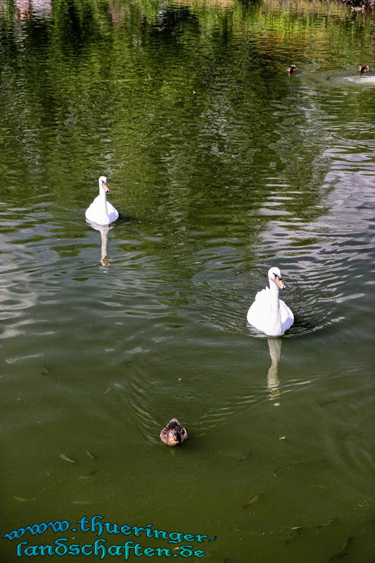 Neuer Kurpark Bad Liebenstein