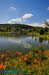 Neuer Kurpark Bad Liebenstein