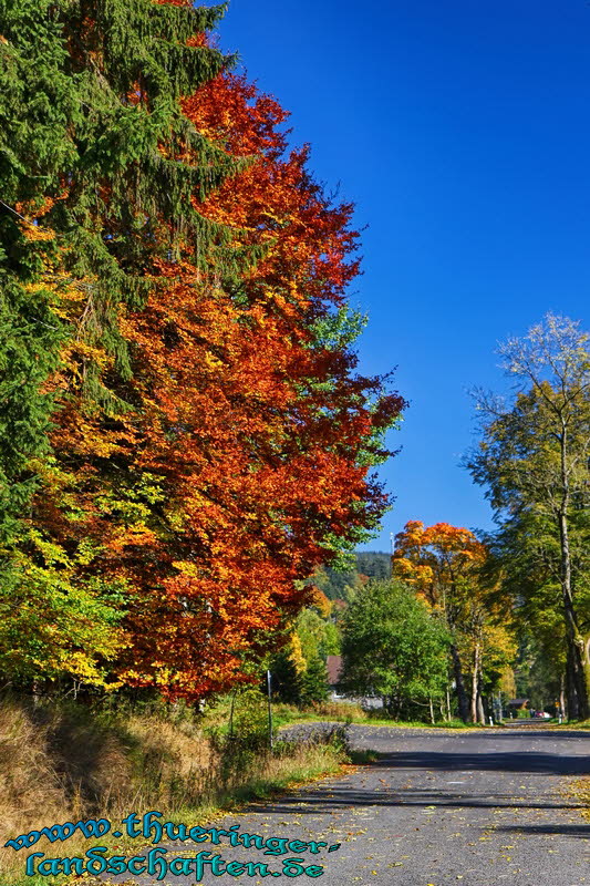 Strasse bei Scheibe-Alsbach