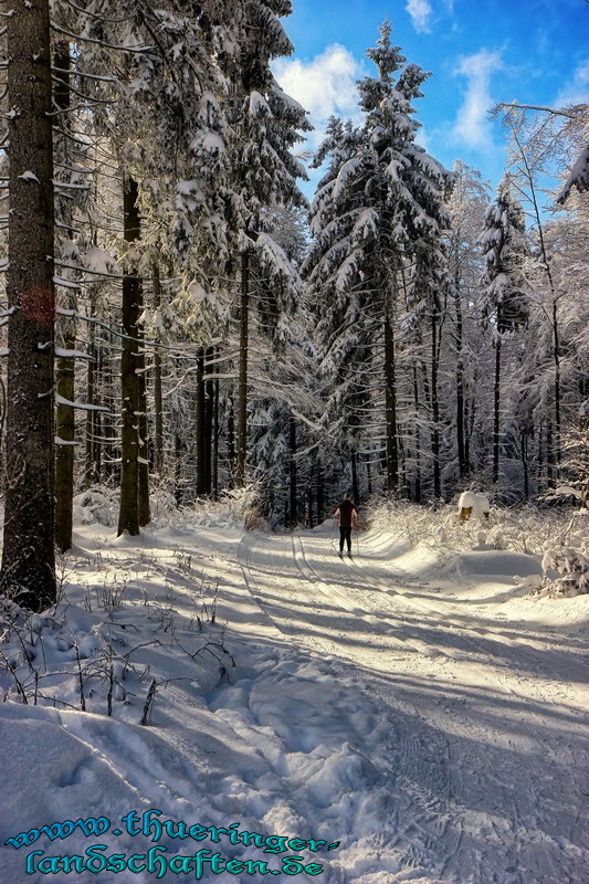 Landschaft an der Wegscheide bei Suhl