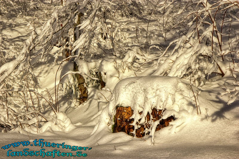 Winterlandschaft bei Grobreitenbach