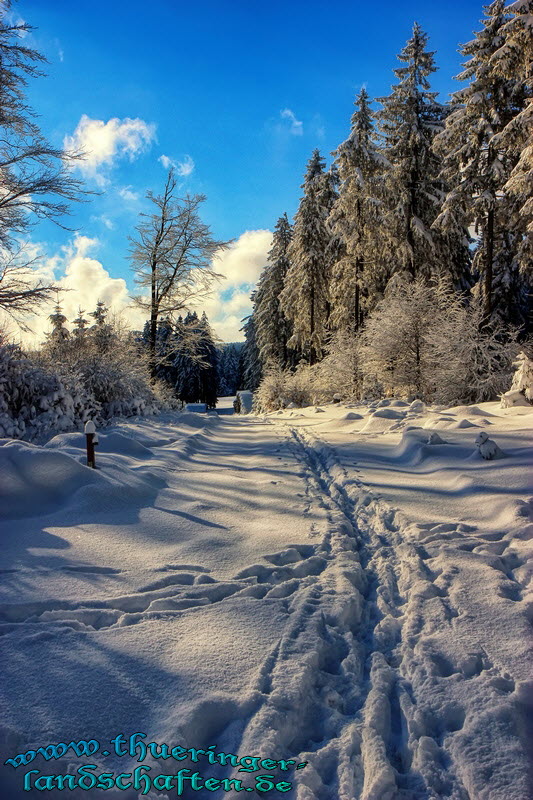 Landschaft bei Neustadt am Rennsteig