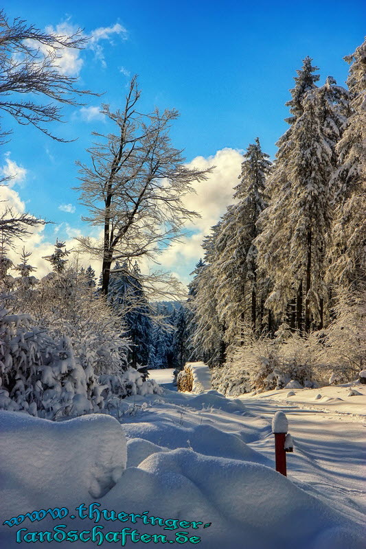 Landschaft bei Neustadt am Rennsteig