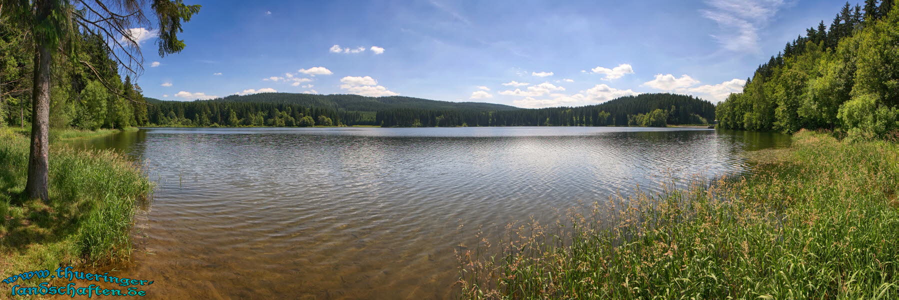 Talsperre Scheibe-Alsbach