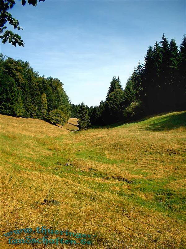 Landschaft bei Waffenrod- Hinterrod